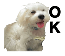 CHULA sticker #13892354