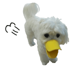 CHULA sticker #13892355