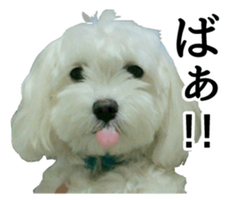 CHULA sticker #13892356