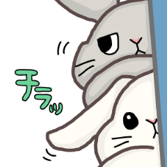 Usami sticker2...?