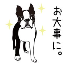Shirokuro Family Sticker sticker #13894312