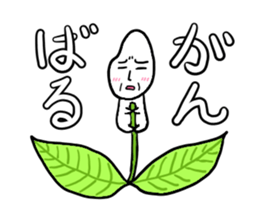 Everyday Mr.Rice & Duckling & Friends sticker #13895242