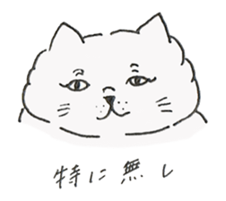 Cat Christina sticker #13896649