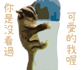 Sugar glider so cute sticker #13899636