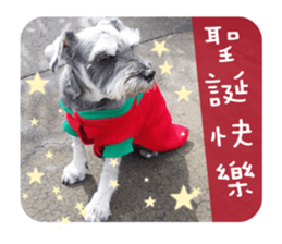 Miniature Schnauzer (old skin) sticker #13901857