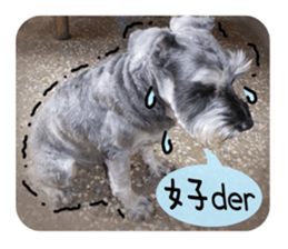 Miniature Schnauzer (old skin) sticker #13901885