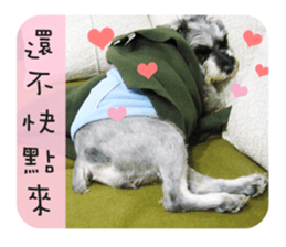 Miniature Schnauzer (old skin) sticker #13901891