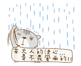 Cat Daddy & Cat I (Animated 16) sticker #13903045