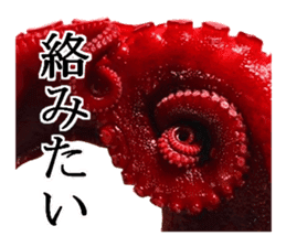 Octopus legs feel self-conscious sticker #13903846