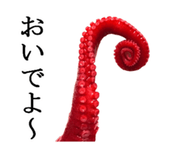 Octopus legs feel self-conscious sticker #13903851