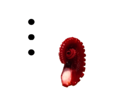 Octopus legs feel self-conscious sticker #13903857