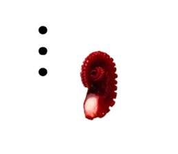 Octopus legs feel self-conscious sticker #13903857