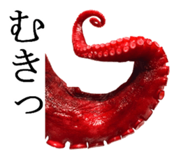 Octopus legs feel self-conscious sticker #13903859