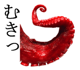 Octopus legs feel self-conscious sticker #13903859