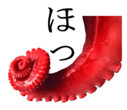Octopus legs feel self-conscious sticker #13903860