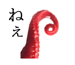 Octopus legs feel self-conscious sticker #13903861