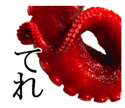 Octopus legs feel self-conscious sticker #13903863