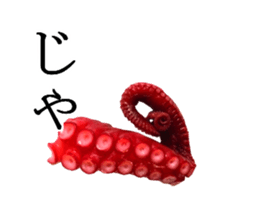 Octopus legs feel self-conscious sticker #13903865