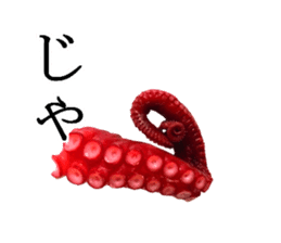 Octopus legs feel self-conscious sticker #13903865