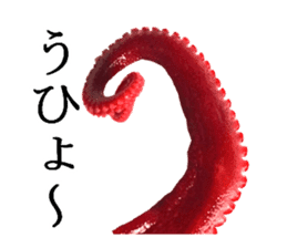 Octopus legs feel self-conscious sticker #13903868