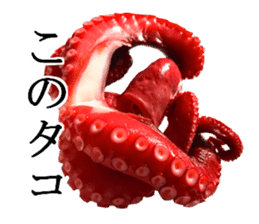 Octopus legs feel self-conscious sticker #13903869