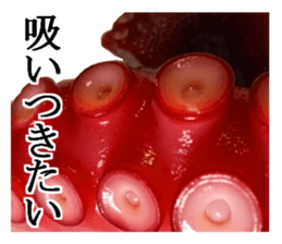 Octopus legs feel self-conscious sticker #13903870