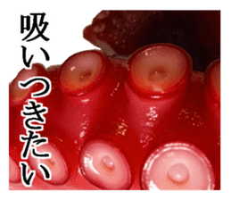 Octopus legs feel self-conscious sticker #13903870