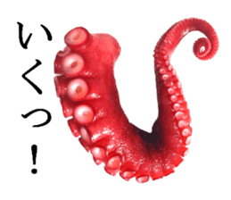 Octopus legs feel self-conscious sticker #13903876