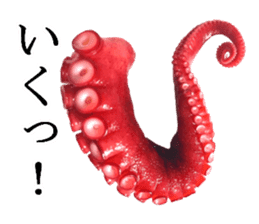 Octopus legs feel self-conscious sticker #13903876
