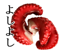Octopus legs feel self-conscious sticker #13903877