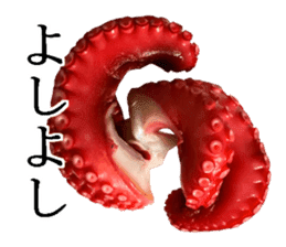 Octopus legs feel self-conscious sticker #13903877