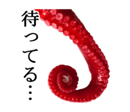 Octopus legs feel self-conscious sticker #13903880