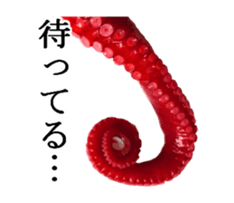 Octopus legs feel self-conscious sticker #13903880