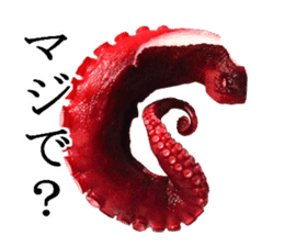 Octopus legs feel self-conscious sticker #13903882