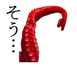 Octopus legs feel self-conscious sticker #13903883