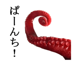 Octopus legs feel self-conscious sticker #13903885