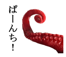 Octopus legs feel self-conscious sticker #13903885