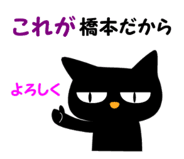 Black cat "Hashimoto" sticker #13904659