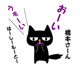 Black cat "Hashimoto" sticker #13904664