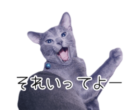 Cat Chobi and Koo-chan sticker #13908108