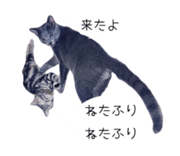 Cat Chobi and Koo-chan sticker #13908110