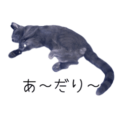 Cat Chobi and Koo-chan sticker #13908114