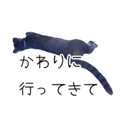 Cat Chobi and Koo-chan sticker #13908116