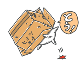 cardbord sticker #13908193