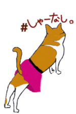 BalletCat mycat natsume ver. sticker #13908403