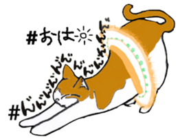 BalletCat mycat natsume ver. sticker #13908418