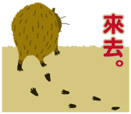 a capybara and its neighbors. sticker #13909573