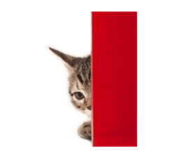 Brown tabby cat and kitten sticker #13909617