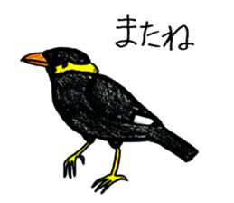 Bird stickers sticker #13911521