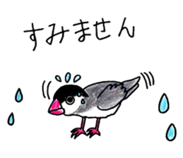Bird stickers sticker #13911528